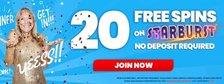 daily record bingo free spins